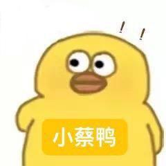 退休少年蔡不错（宠物服务）