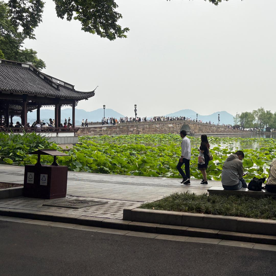 杭州街溜子