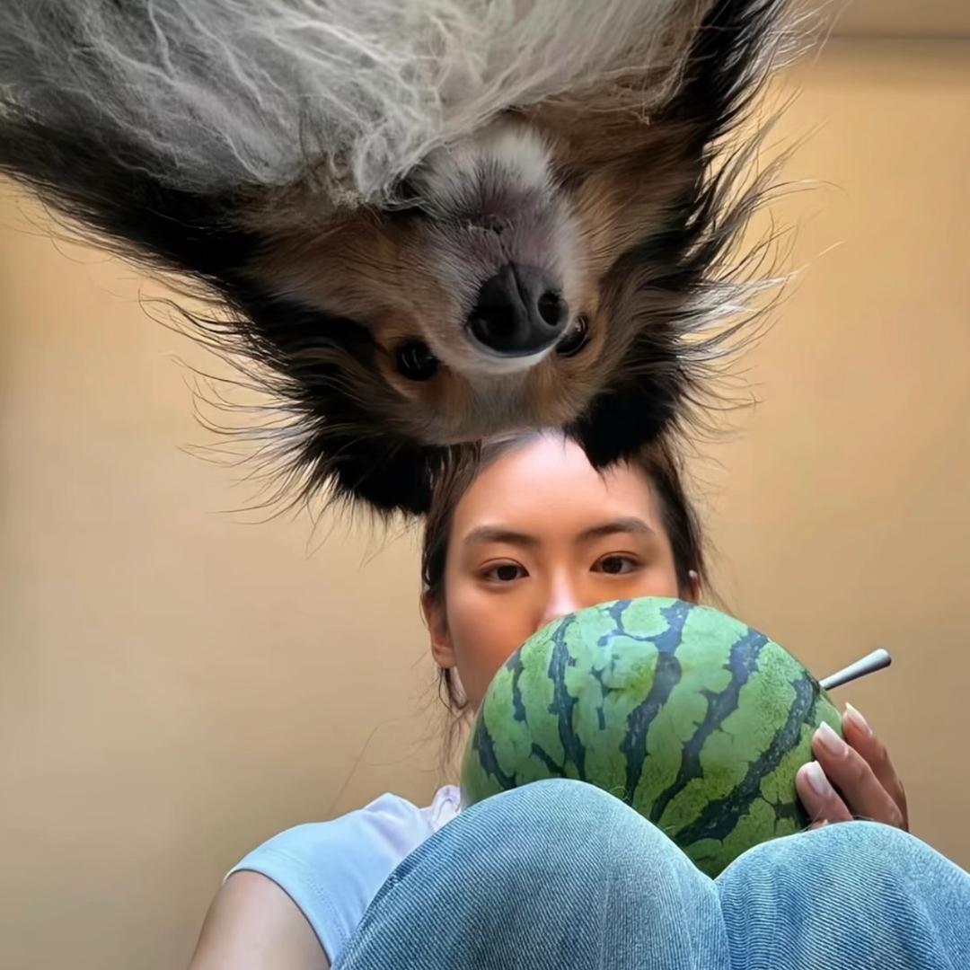 一天三支巧乐兹🍦