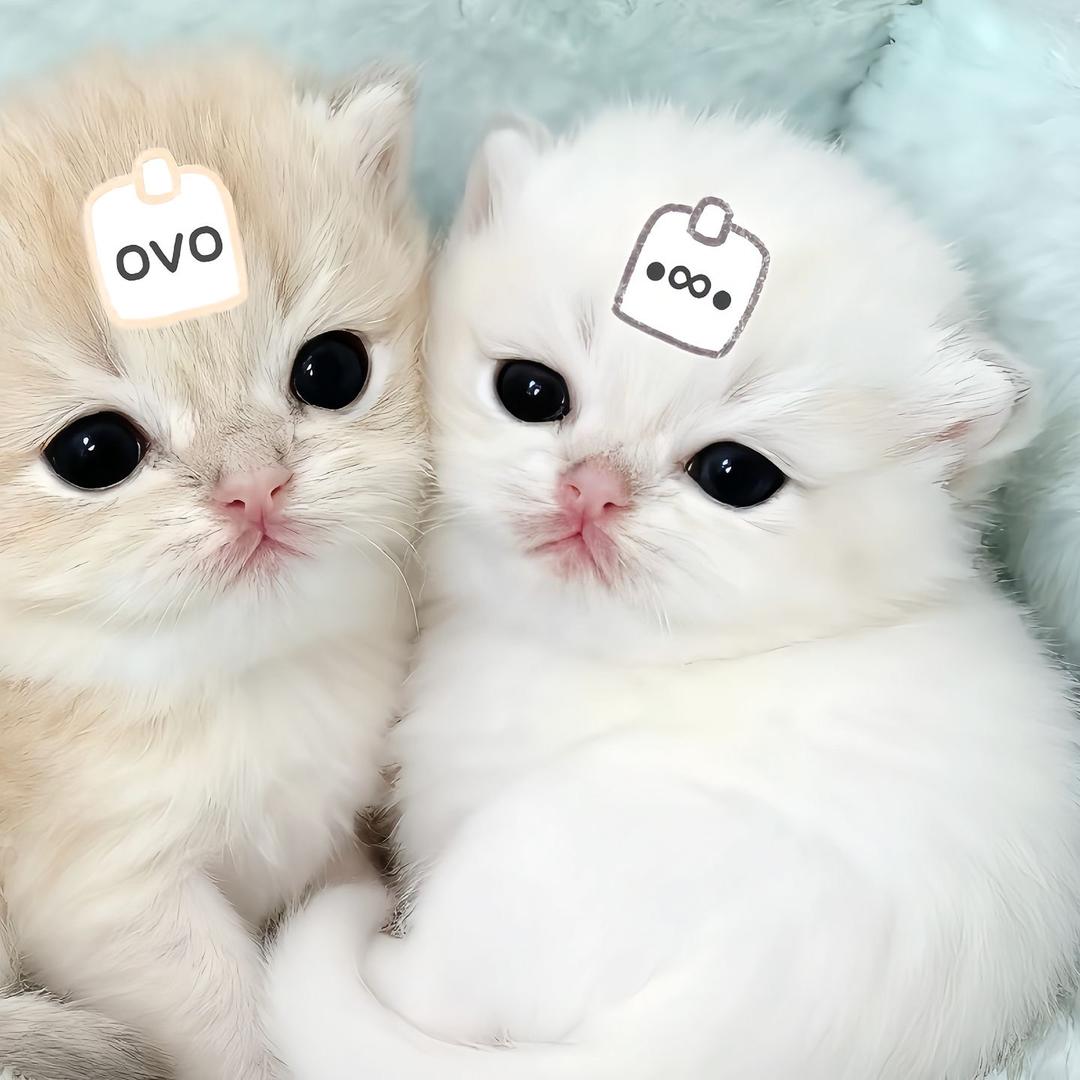 唉