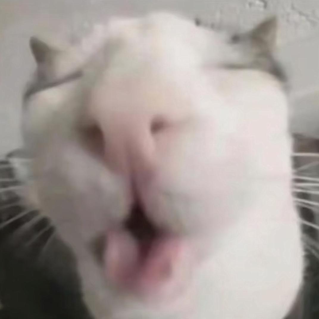情愫