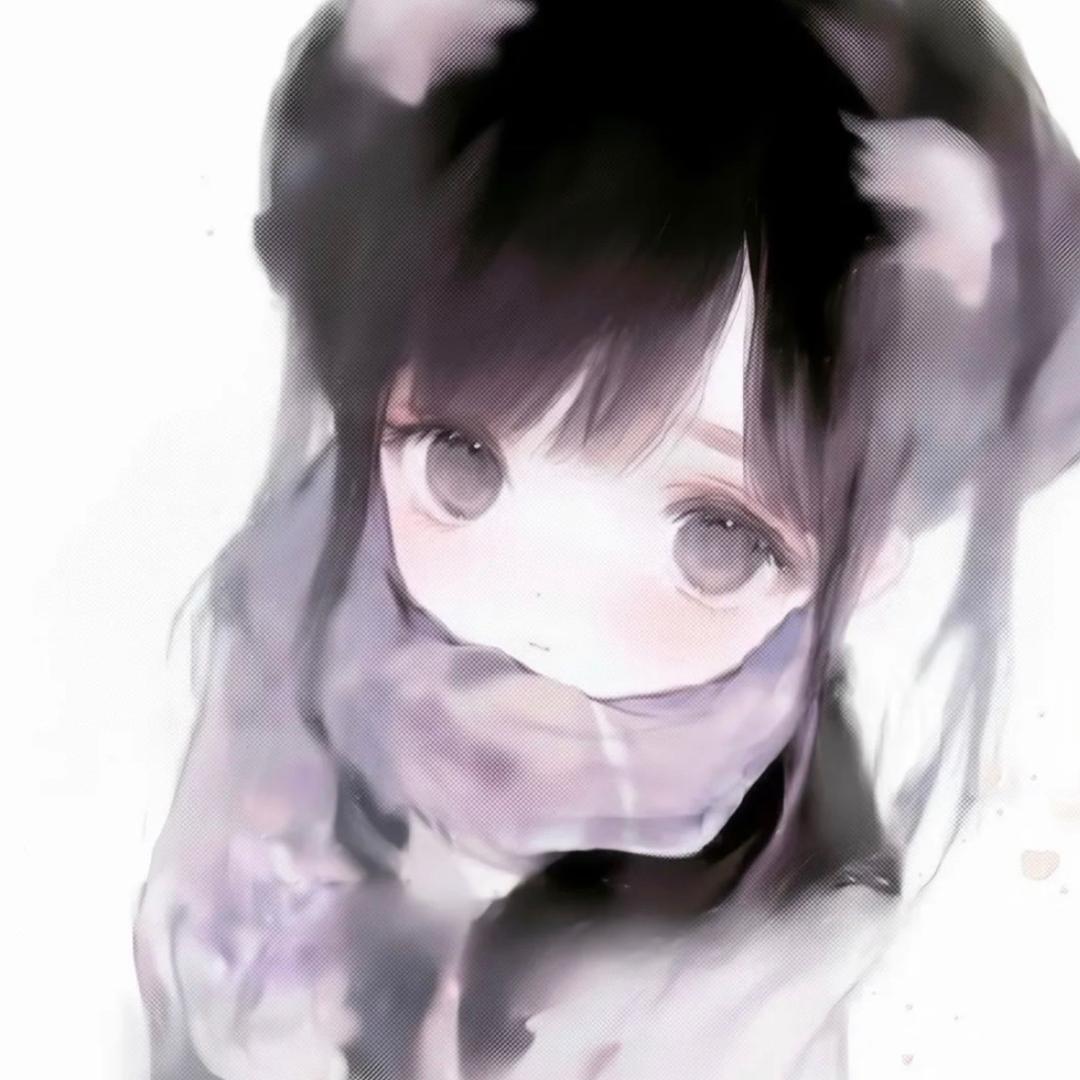 晓菜一碟