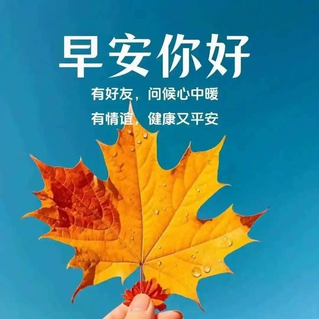 唯美2