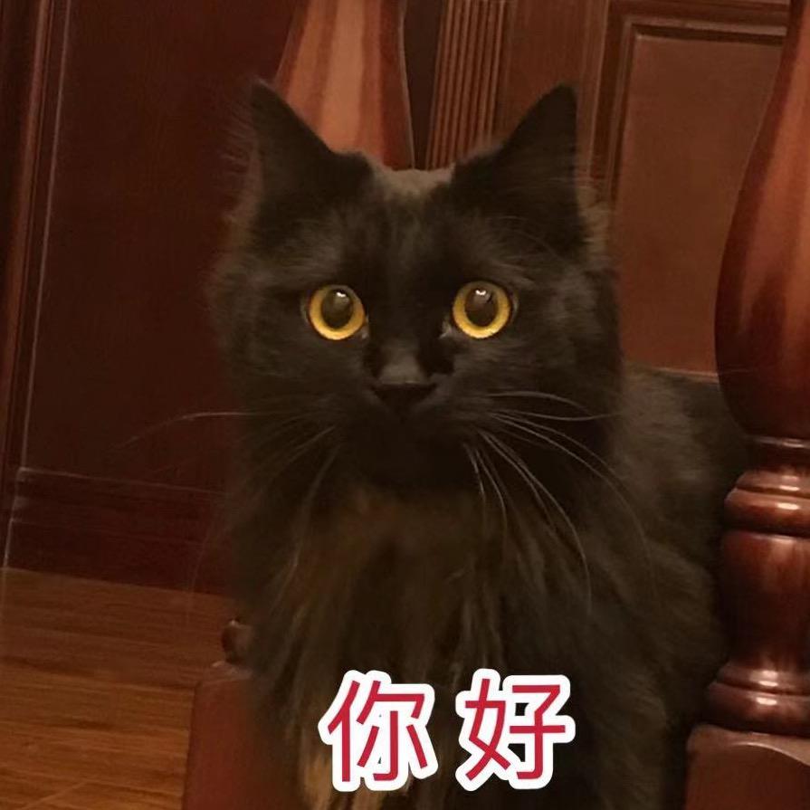 巨大莲