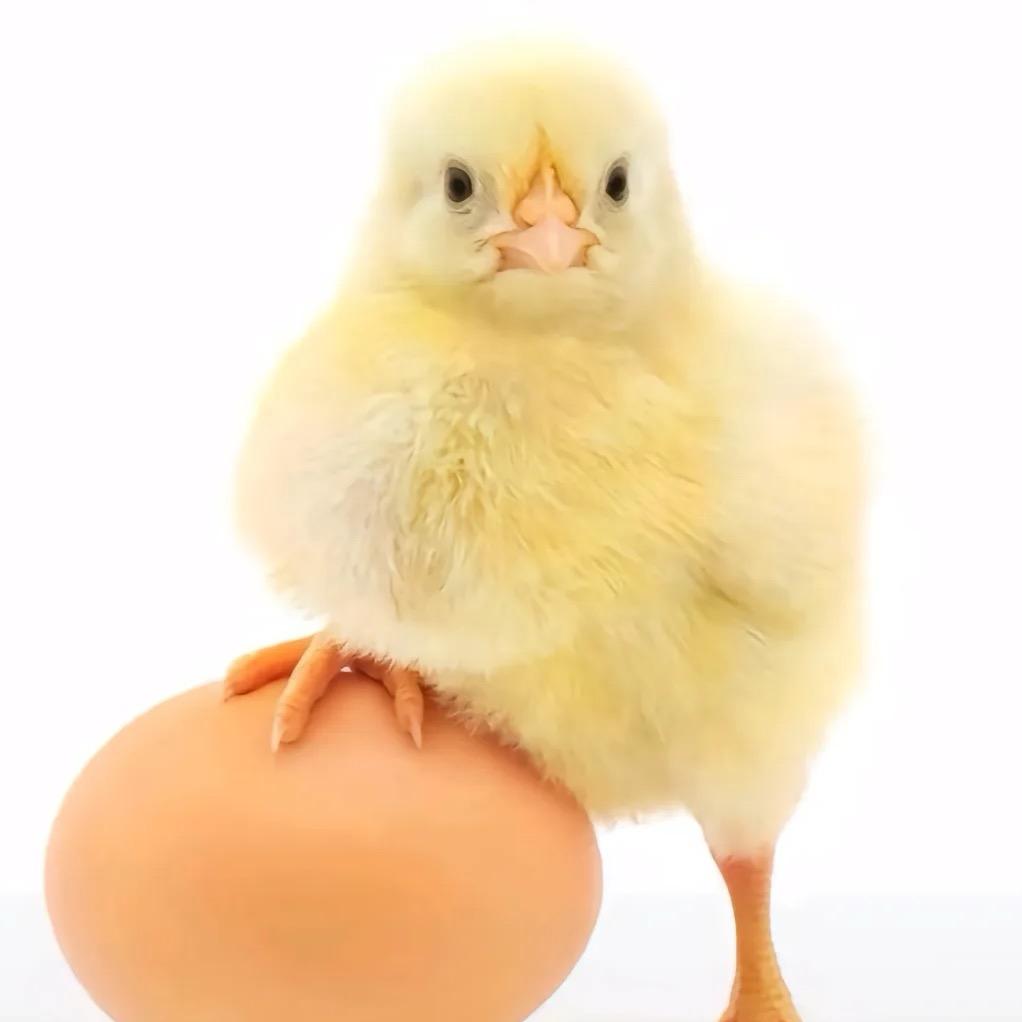 ^o^
