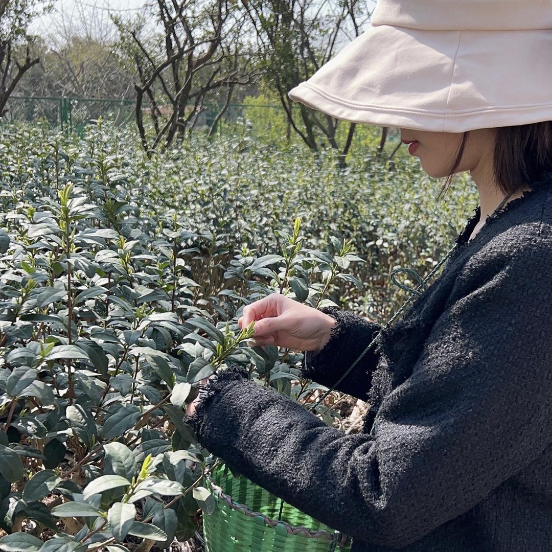 东山雨娇