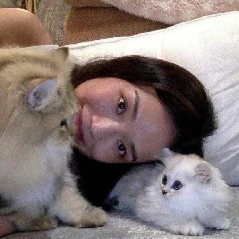 来看我了吗