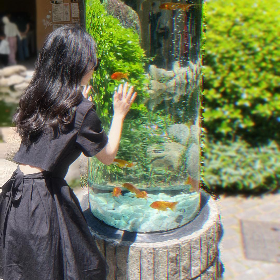 木子秋衫