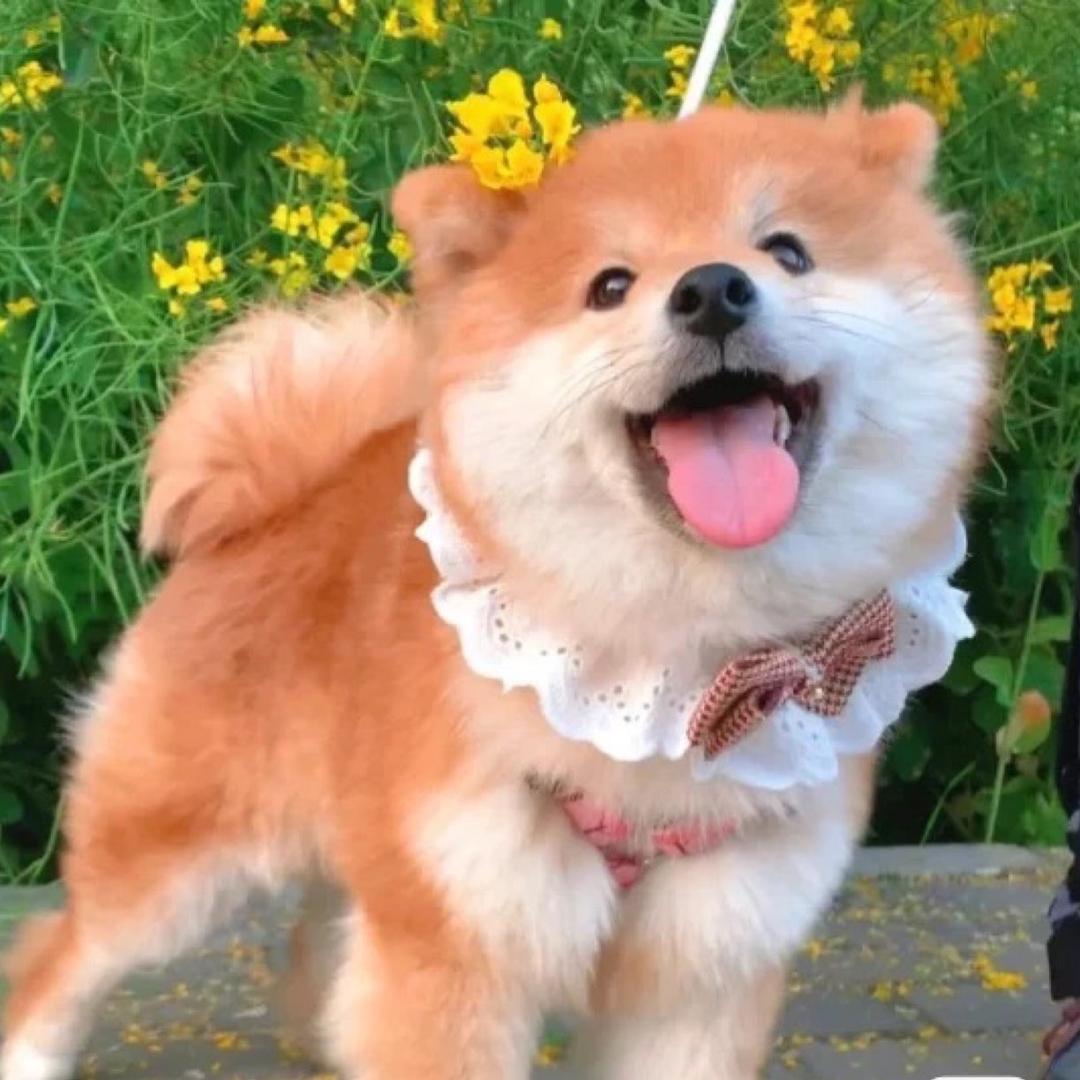 三三
