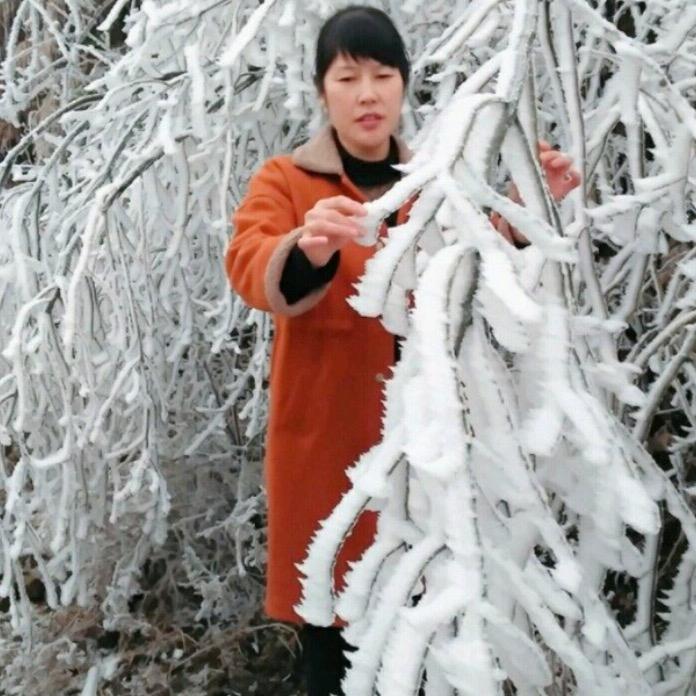 美华