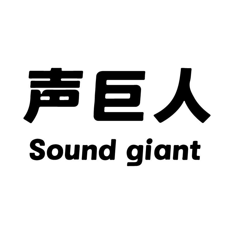 声巨人影音数码