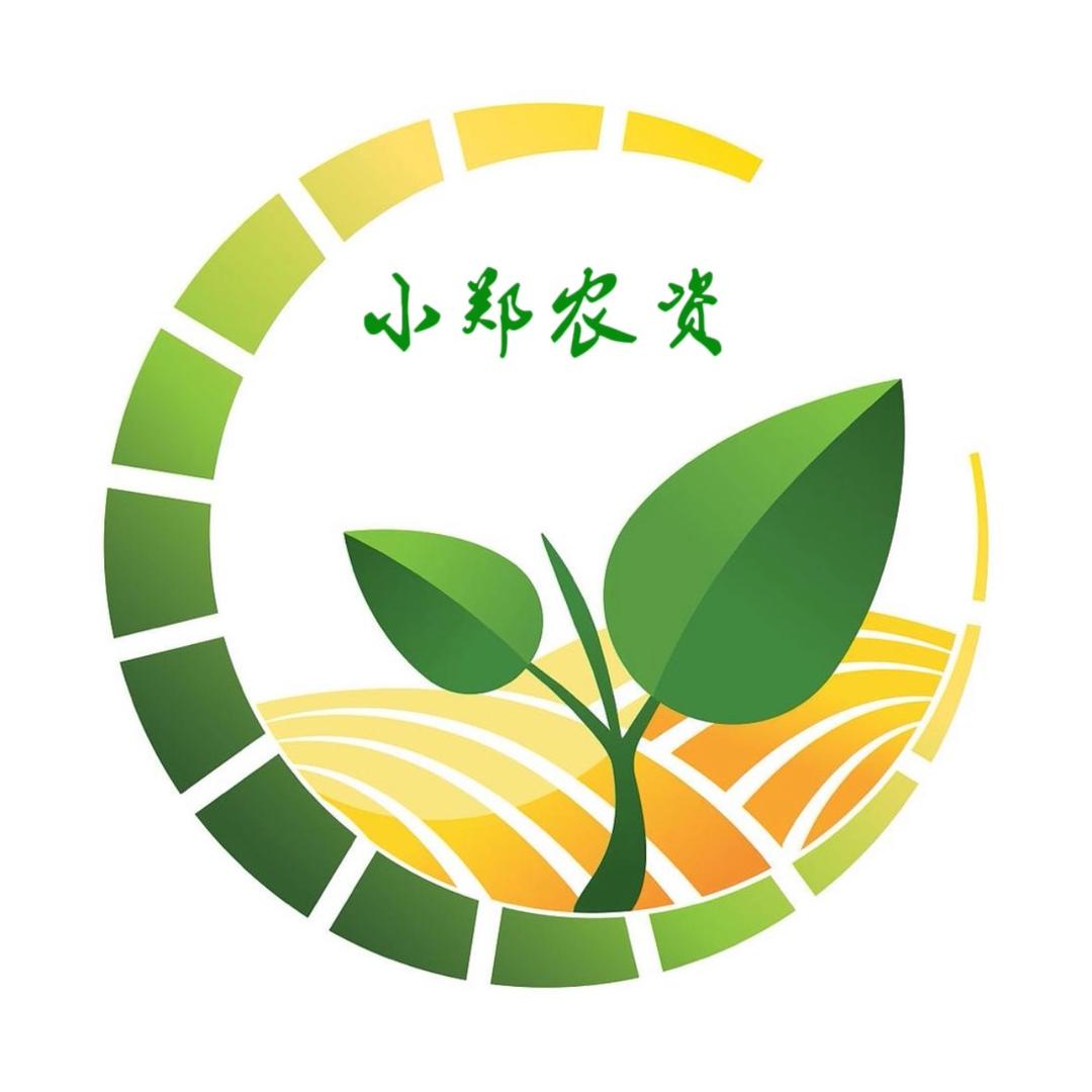 郑老板