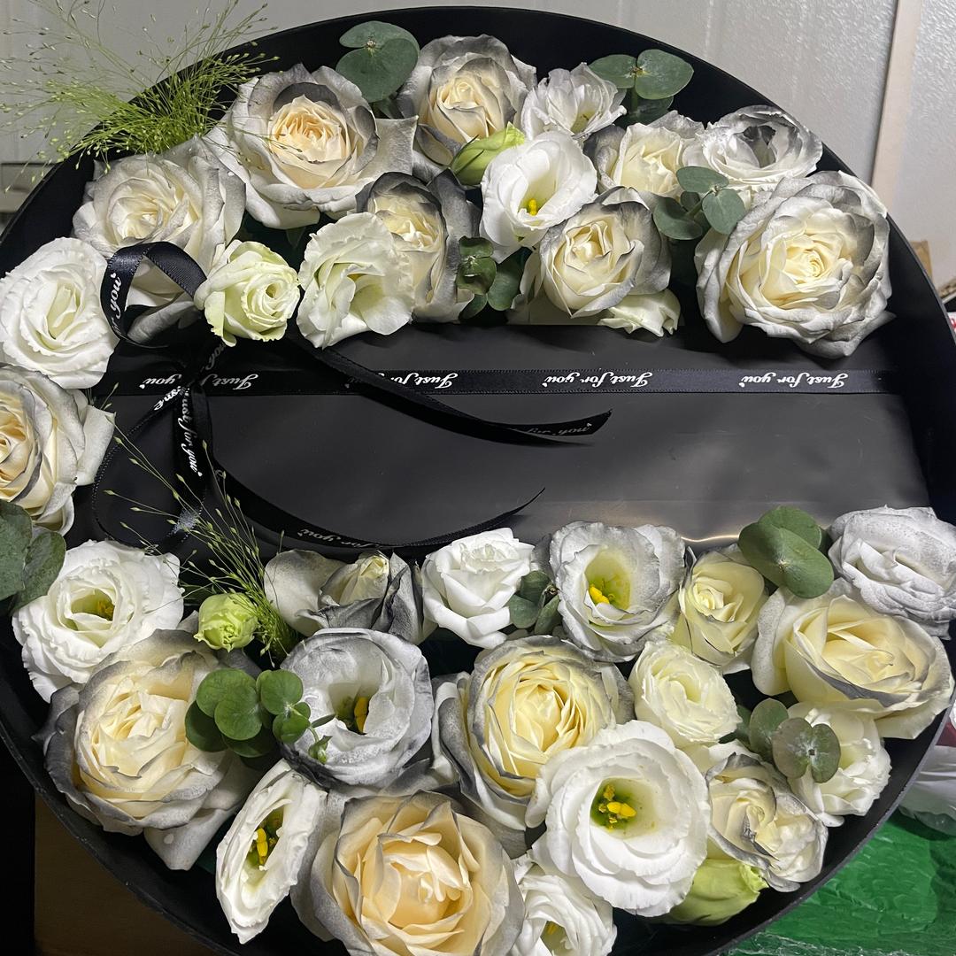 ☻ 🌈 Surprise ❤︎ 希望