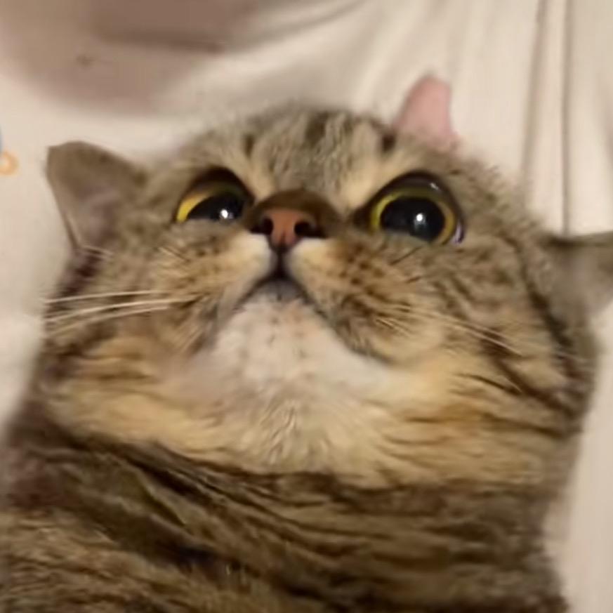 摩卡加盐(*´I`*)