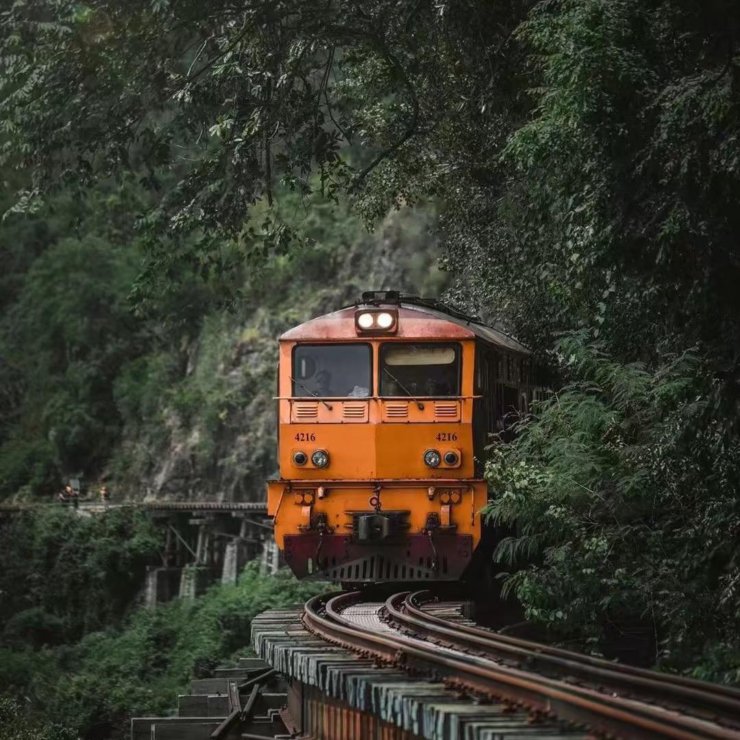 我的白月光