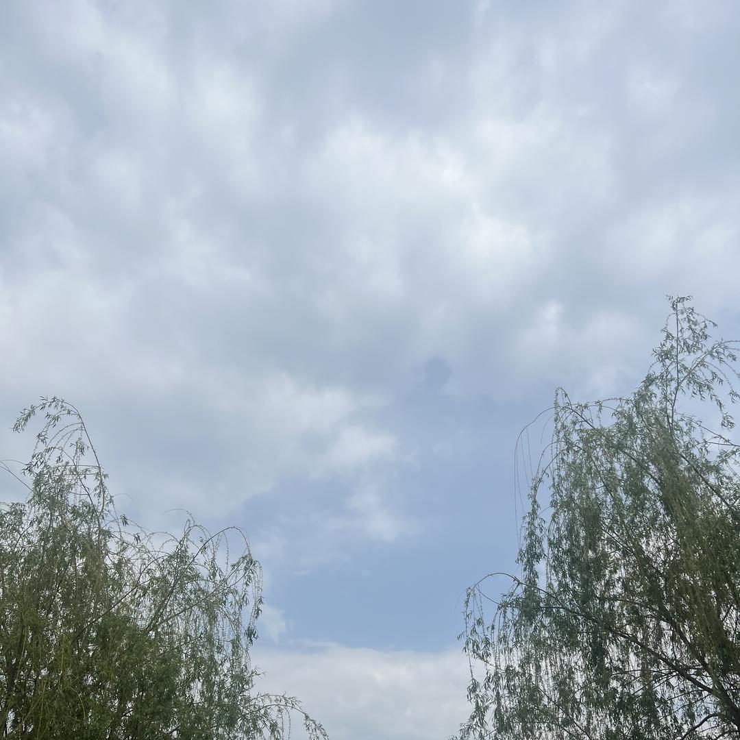掳非奢品甄选