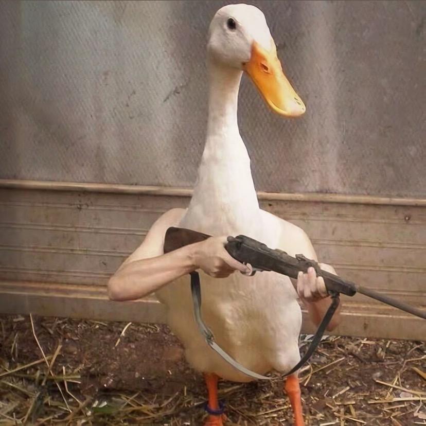 ¨̮ 楞