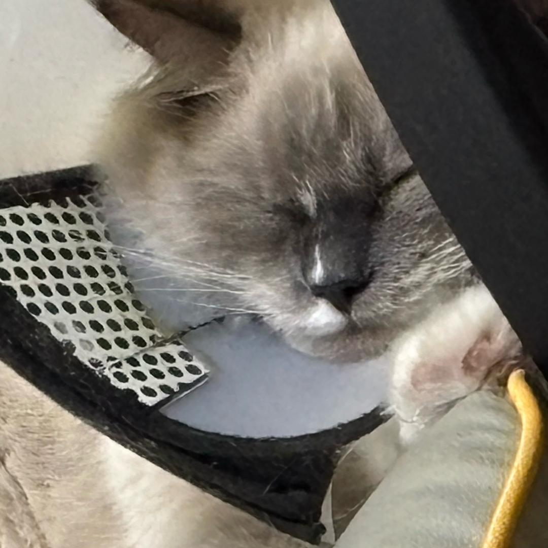 ☺️