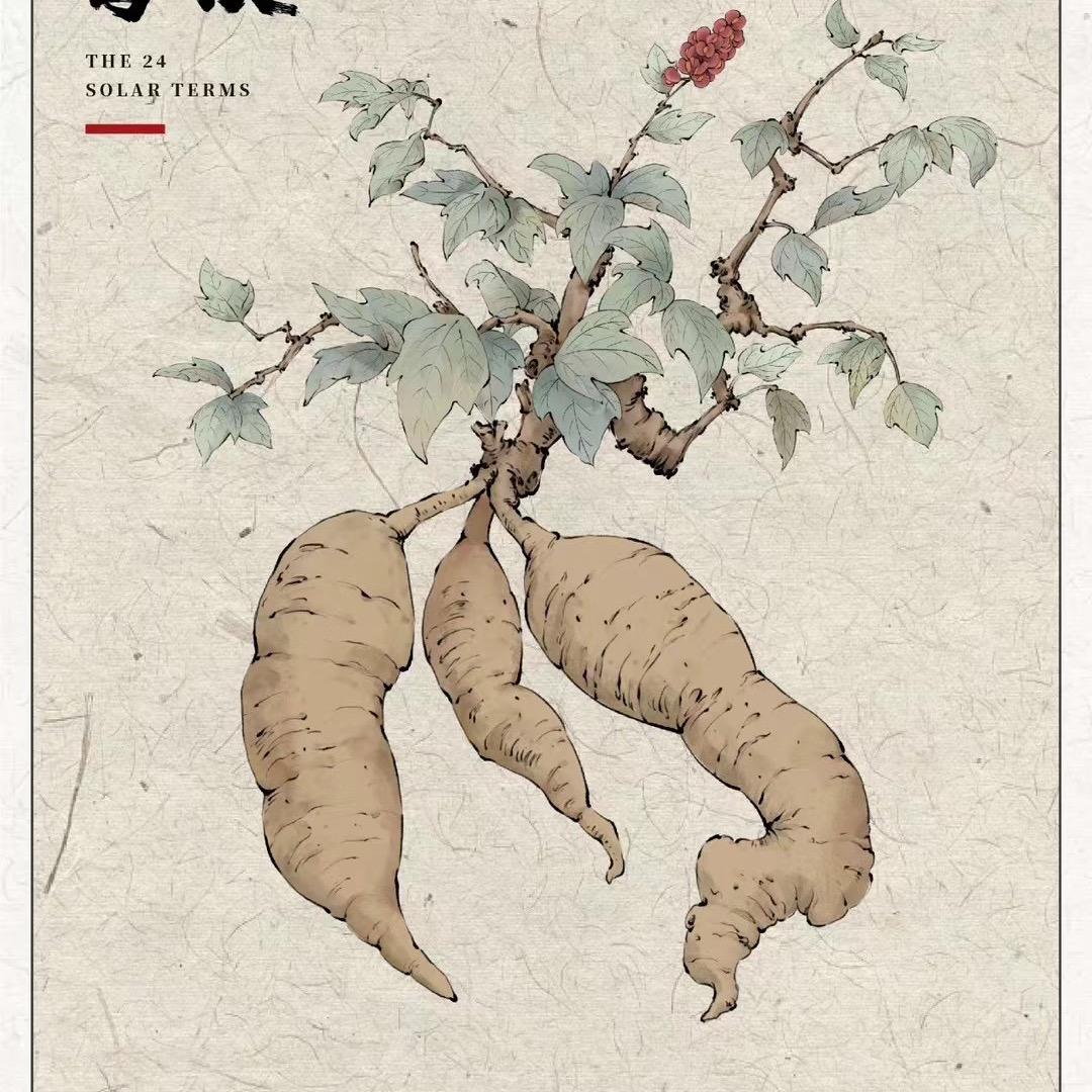 @勿念安好٩(•̤̀ᵕ•̤́๑)