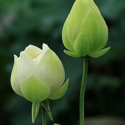 佛不要你皈依，佛要你欢喜