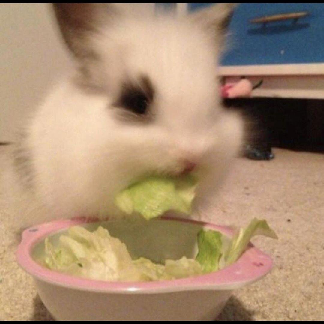 liuuuu_
