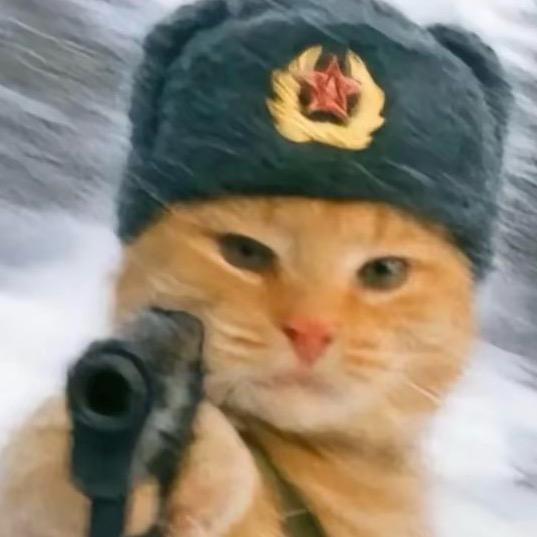 白香香大大王