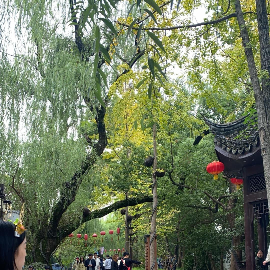 遗失的美好