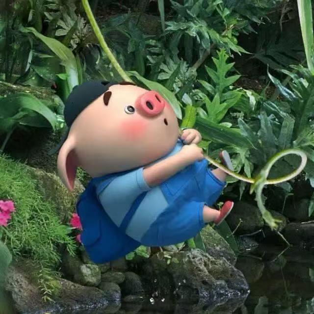 白叔来咯