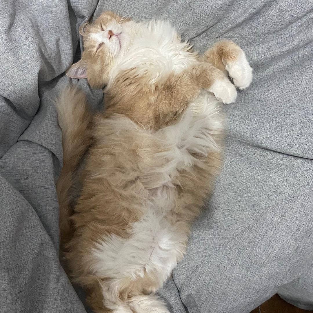 guoguo我呀再睡会儿