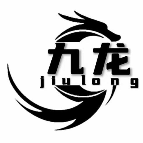 王者荣耀·九龙
