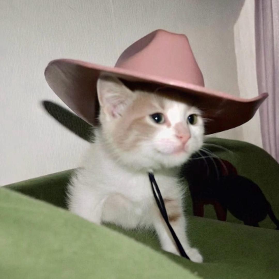 别和奇怪的我说话