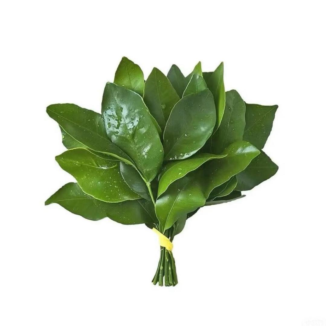 灵哥太可爱了