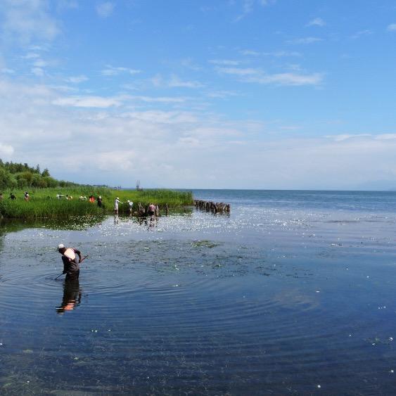 小·浩哥