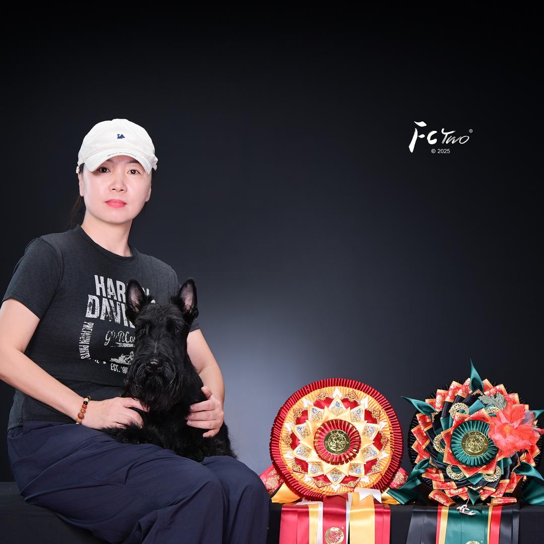 皇宫爱宠㹴㹴入怀