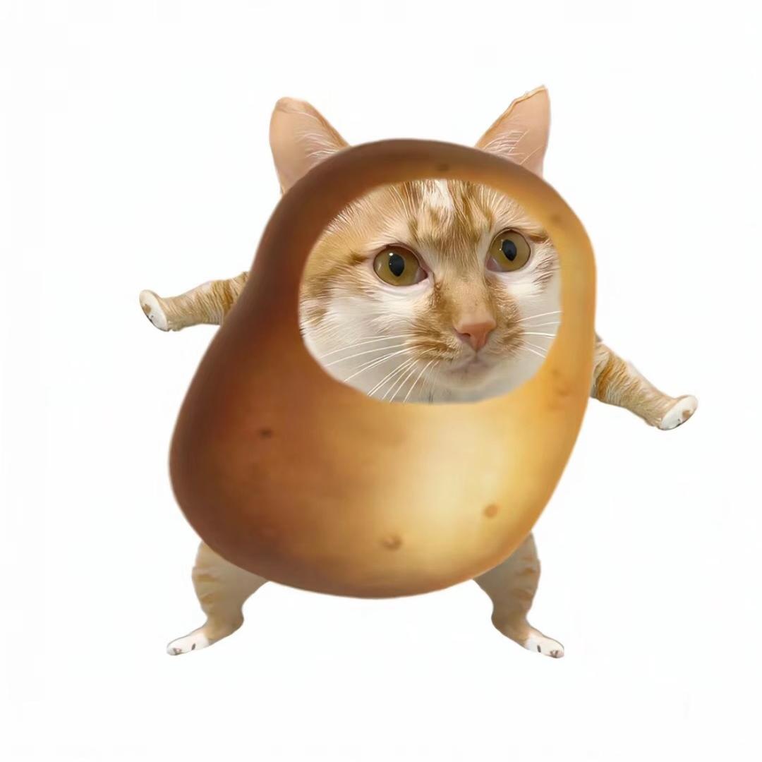 老天爷你赏我的饭怎么是黄磊做的