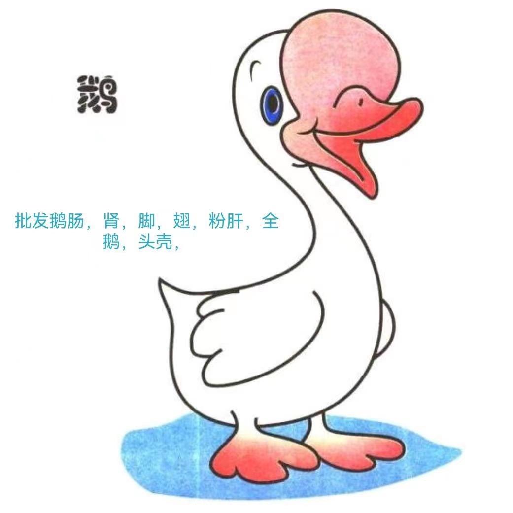 澄海狮头鹅配送