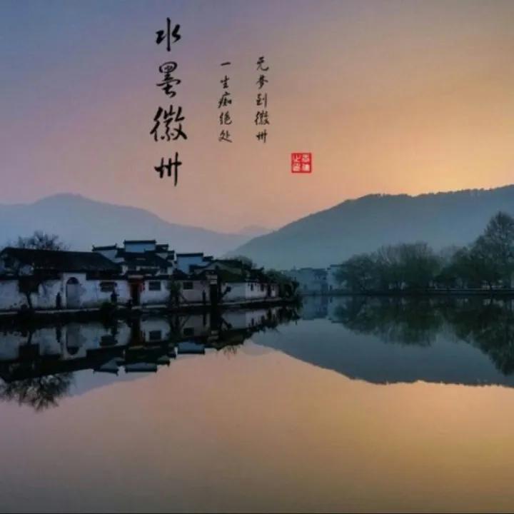 果壳朽木根艺根文化