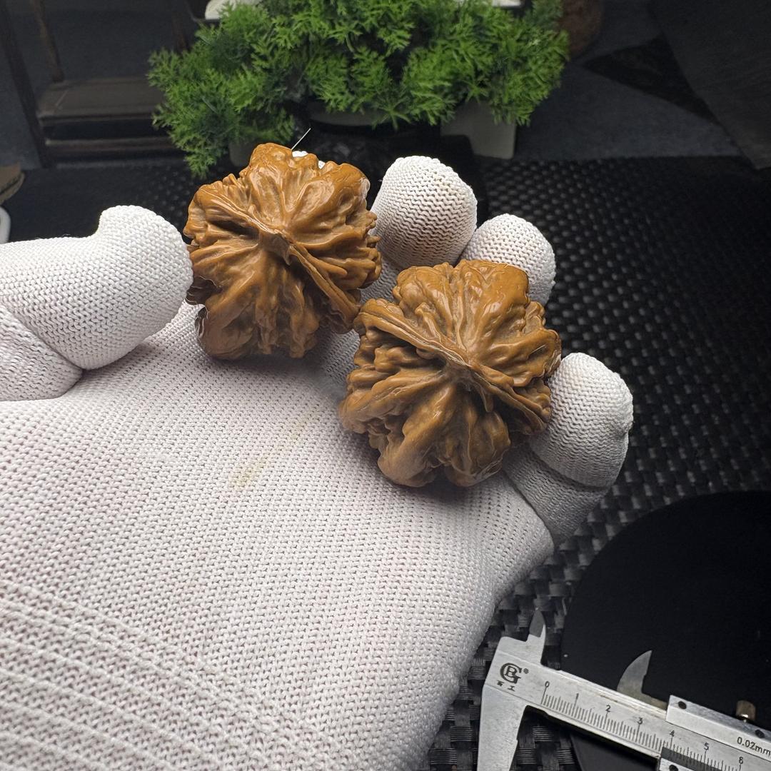 雷子龙纹桃胡行臻品