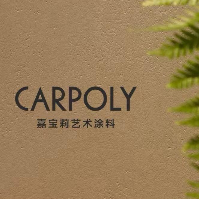 攀枝花艺术漆阿程