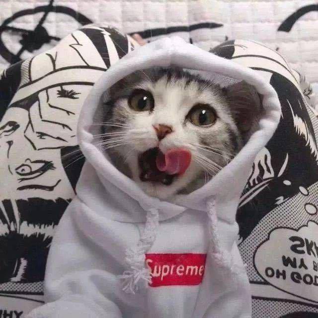 AI浅笑