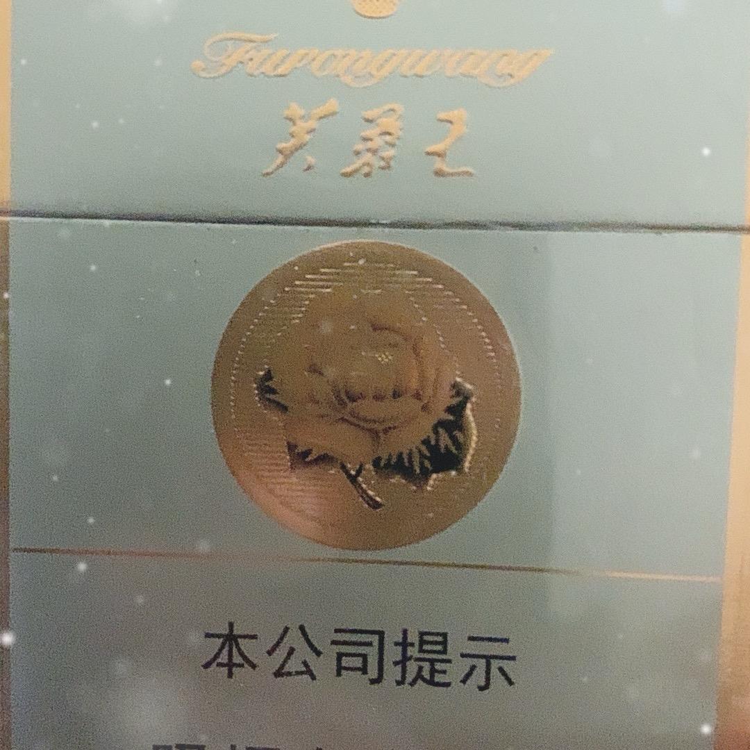 三文鱼🍣