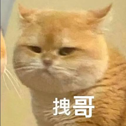 小手抓饼℡