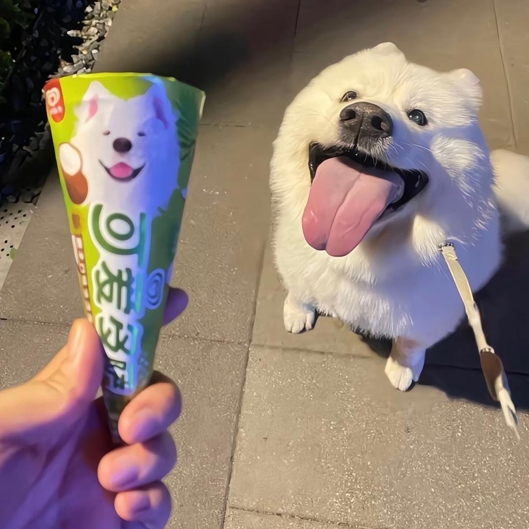 一y一