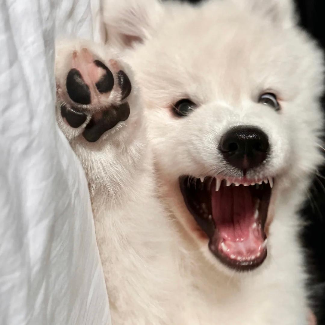 悸y
