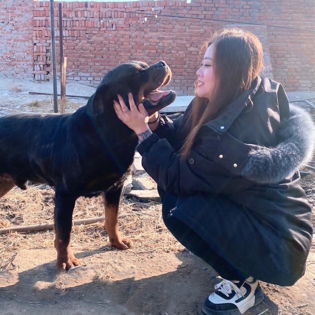 好运常在🌸〈犬舍〉