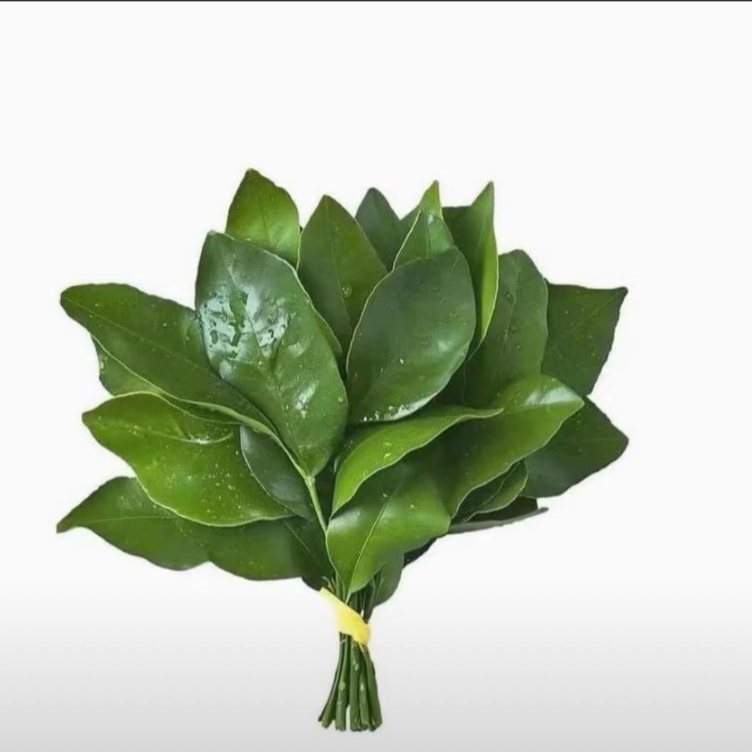 蓝蝴蝶