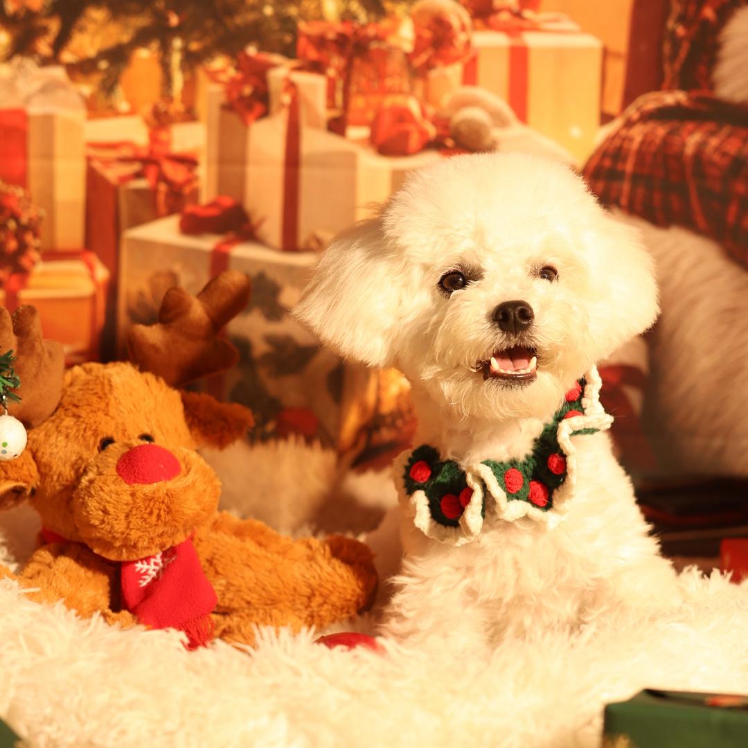 等一场千年雨歇。