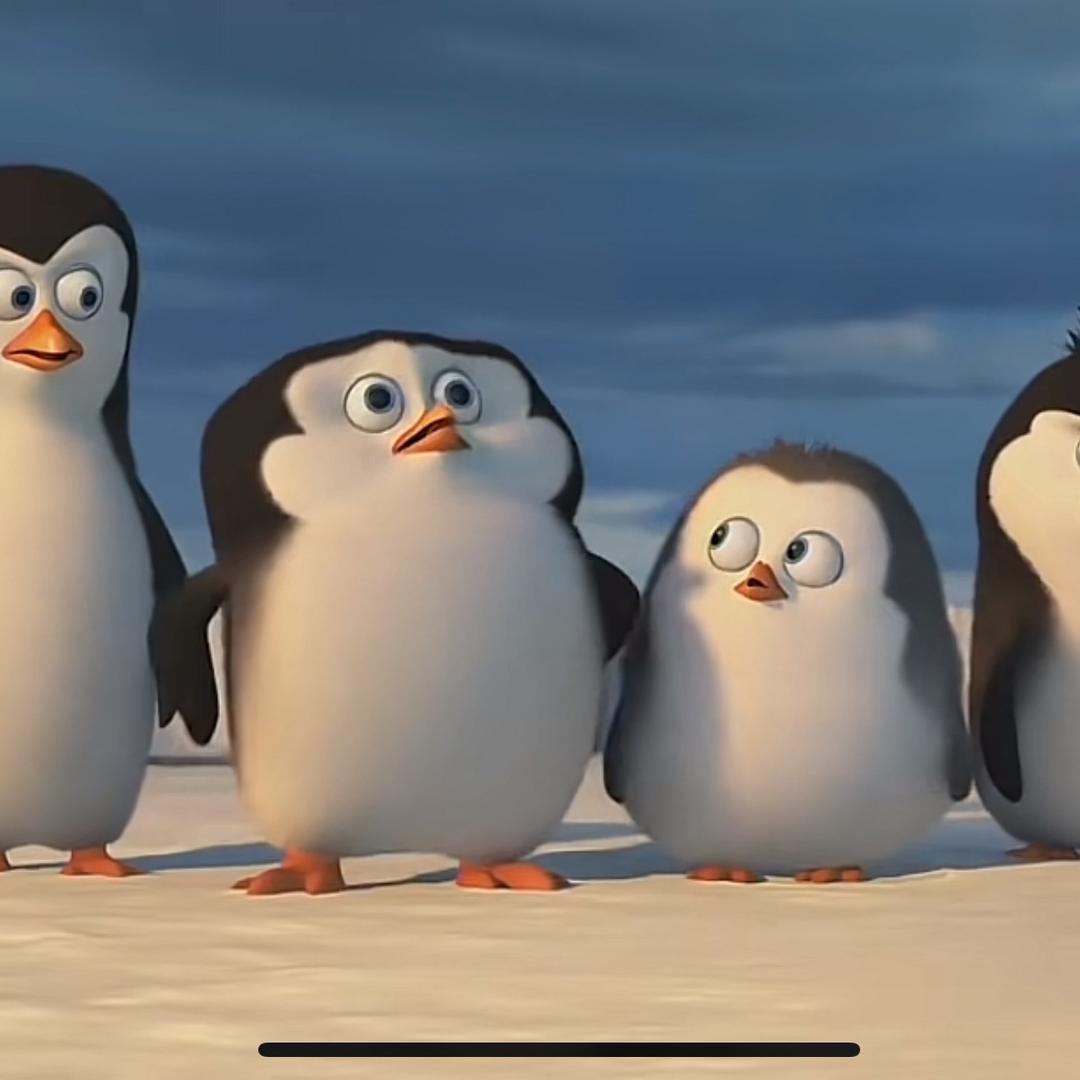 萌(๐•̆ ·̭ •̆๐) 主