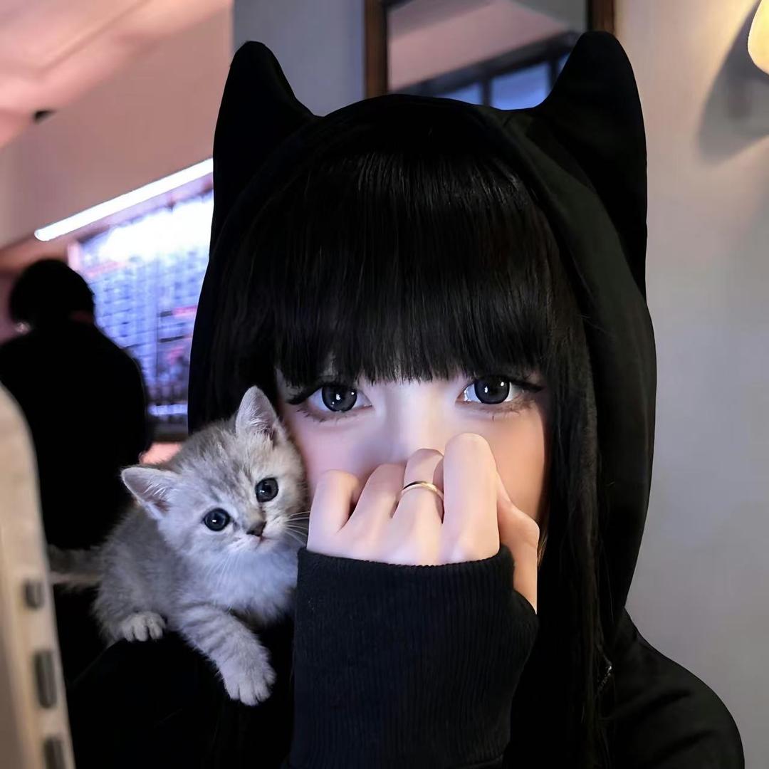 猫猫今天吃什么