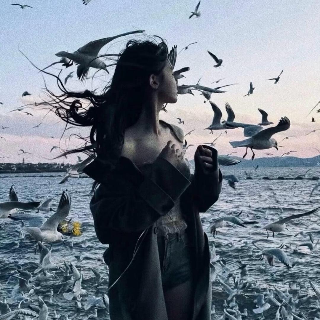 不吃香葱